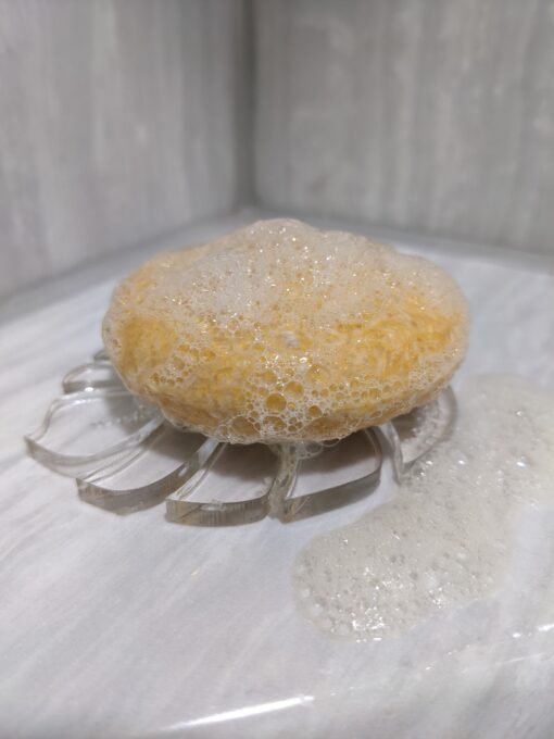Drying disk with a citrus shampoo on top